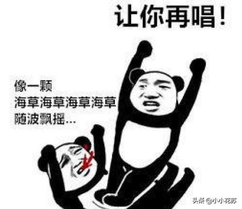 吱哟幽默笑话你不姓李,你那来的理