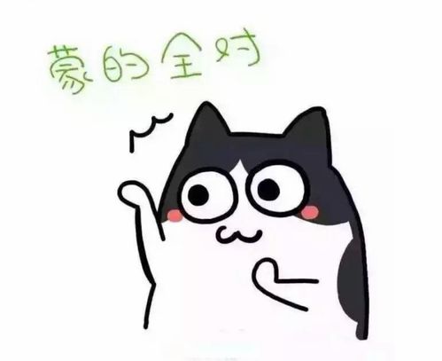 精神抖擞表情包熊猫眼天气预报
