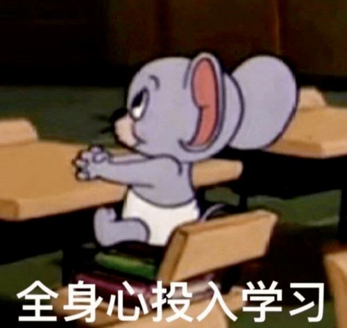 保研经验双非学子,专业排名拿捏的死死的,科研经历不掉队,最终逆袭顶尖院所院校