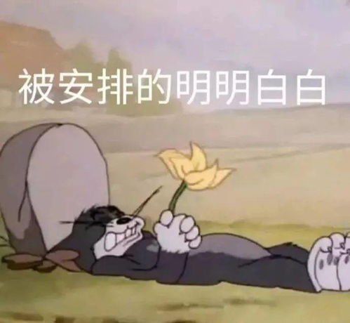 干货再不护眼,就要在瞎掉的边缘疯狂试探