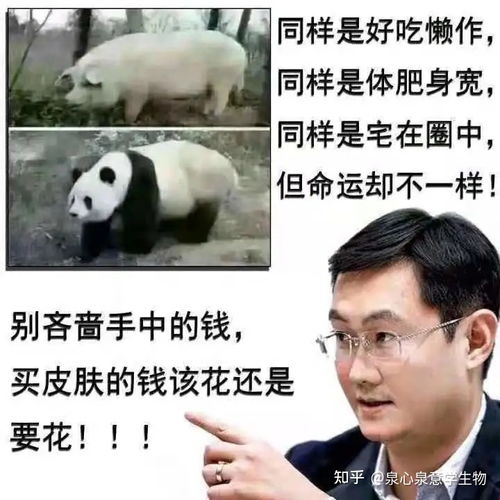 放假啦生物老师打算用表情包打败你