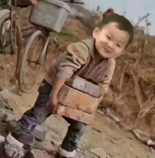 吐槽你的专业在流浪地球计划里能做些什么