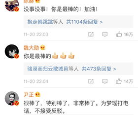 维嘉回应表情包回退
