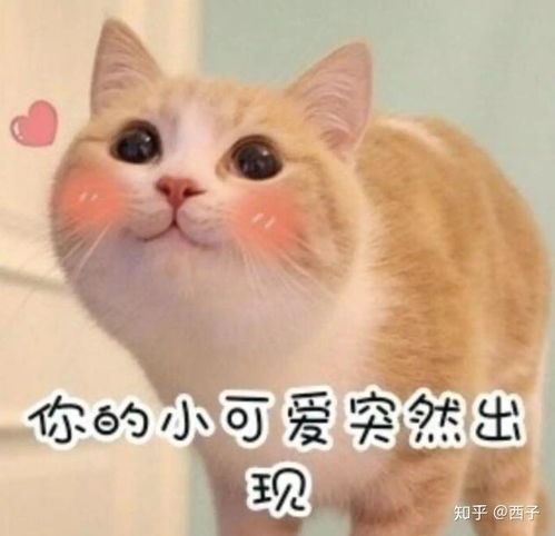 小可爱图片表情包头像
