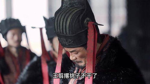 王翦与嬴政李信意见不合,气得他直接回家养老了