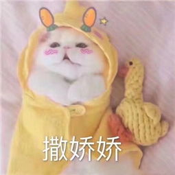 最近超流行你问我答在评论里问你想问的问题不要问隐私明天ami阿咪吖的美拍