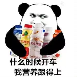 表情包所有人物原型庄荷