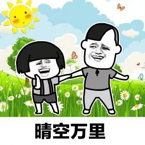 青海花海升级版来啦99西宁人都没去过的千亩花田,1小时就到