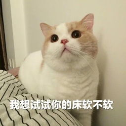 每日一笑妈妈为了保持身材,基本不吃主食