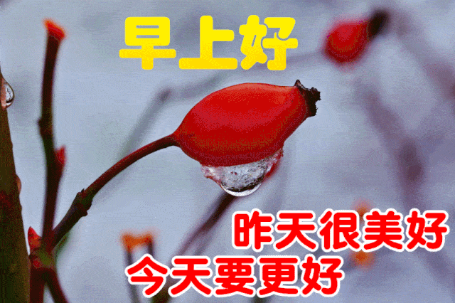 8张免打字非常漂亮的夏日早安问候动态表情图片