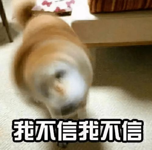 10大雪十堰天气明天开始暴走