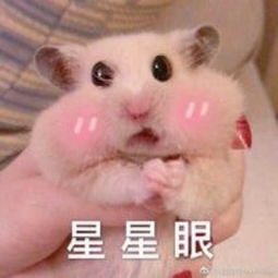 一组撩人表情包来啦,快拿图和小哥哥聊人生去吧