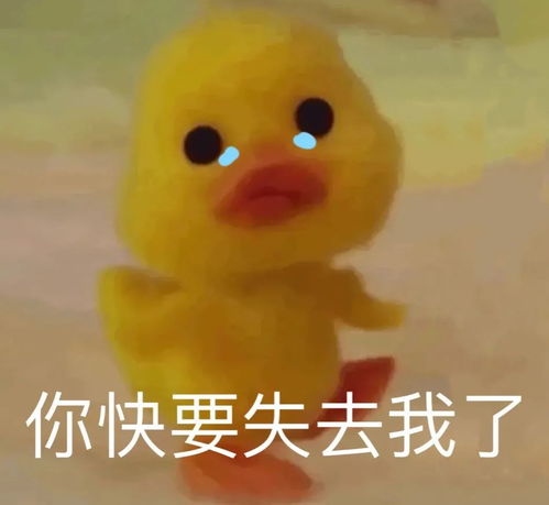 委屈巴巴的让他心疼的表情包