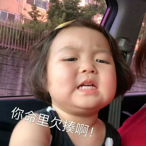 优雅式怼人必备表情包伤害爆炸,我看你命里欠揍