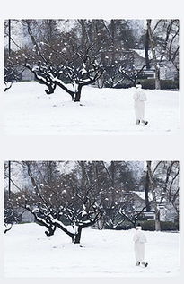 下雪的风景图片素材下雪的风景图片素材下载下雪的风景背景素材下雪的风景模板下载我图网