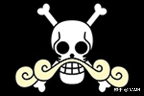 海贼王里有多少面海贼旗