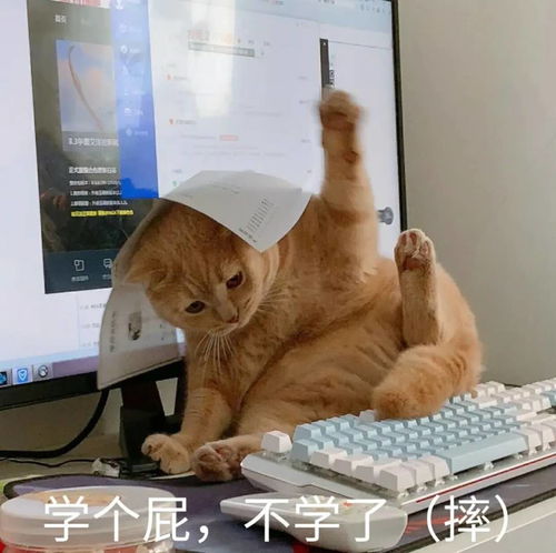 备考afp众生相,来看看你是哪一种