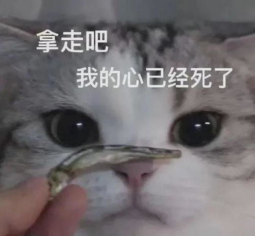因为手滑而引发的爱情救命啊这是人能看的吗真的是太杀了吧