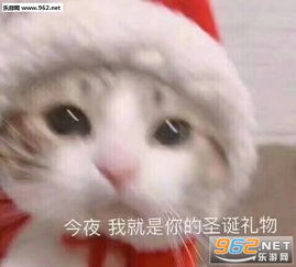 愤怒的表情包图片我爱你