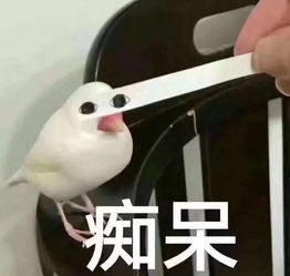 渣渣渣渣渣渣渣渣渣渣渣渣猫