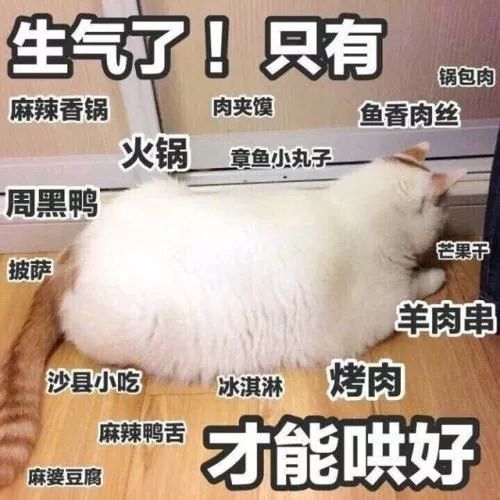 表情包可爱小图gifgif
