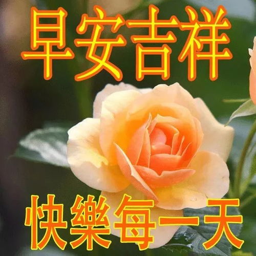 祝福大家早上好图片大全,很赞的大家早上好问候语表情动画