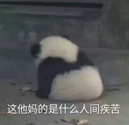 这次稳了成考真实录取率到底有多高
