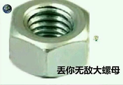 丢你螺母表情包图片