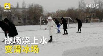 荐读丨花甲老人自制捡钉神器小区内义务捡钉19年
