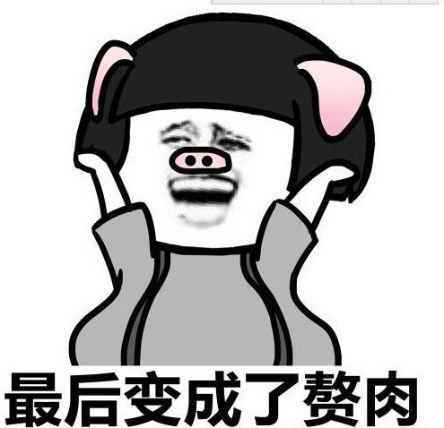 懒猪表情包猪猪