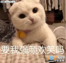 叫爹然后滚表情包图片你们是在说我吗表情包下载乐游网游戏下载