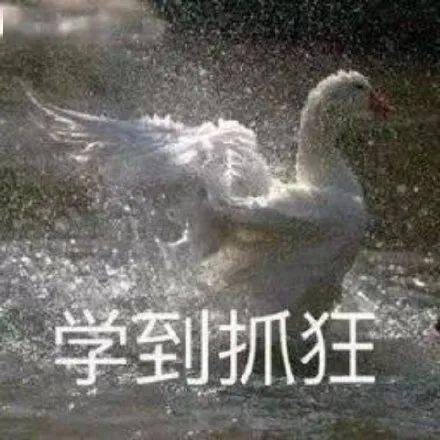 用一个表情包来形容期末......