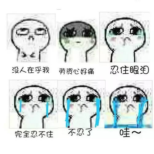 全群女生们从今天开始已经是真正的开始降温了,记着多穿衣服,少要风度妈蛋表情网