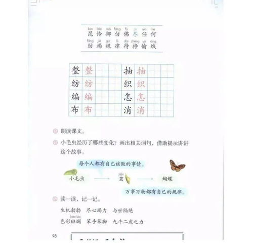 部编版二年级语文下册课堂笔记知识点整理,学习好帮手