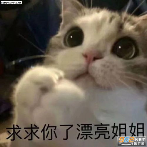 你很拽吗图片带字送你小心心表情包下载乐游网游戏下载