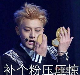 黄子韬表情包大战始末秋装