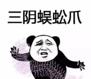 昨晚,许多荆门人都忙着做这事一晚可挣几百块