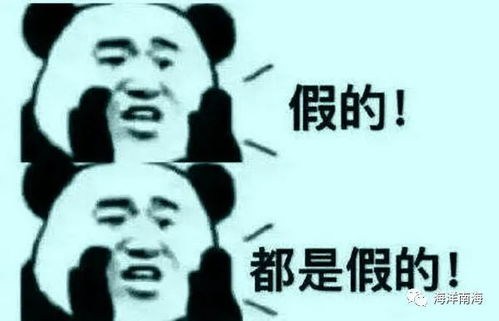 来到中越边境探寻53号错字界碑的传奇故事