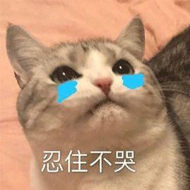 牙黄用什么牙膏牙龈出血用什么牙膏蛀牙用什么牙膏