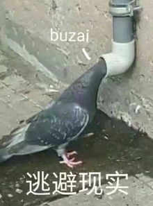 你的好友太阳即将上线,还有一件事千万别忘了