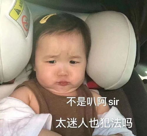 斗图表情包合集不是吧阿sir,太迷人也犯罪吗