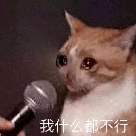 第77期喵表情渣猫长了一张强吻人的嘴,还乱撩女孩子