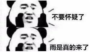 台风鹦鹉已登陆南宁将有雷电强降水