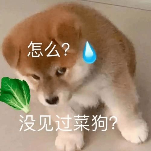 减肥的人,迟早要虐爆这个部位,很多人却练错了不是腹部