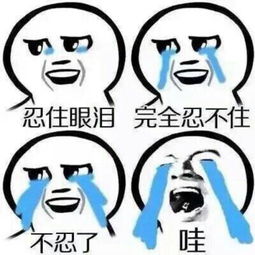 这种表情包叫什么名字