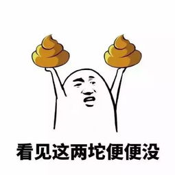 看见这两坨便便没全扔你脸上表情包