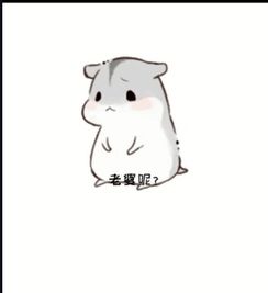 抖音老婆呢老婆我想你了要老婆的抱抱表情包