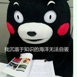 用了这些表情包,我可以瞬间把天聊死