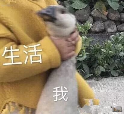 还没进门,我就嗅到了你家精致中产的味道