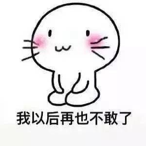 关于老公老婆的表情包